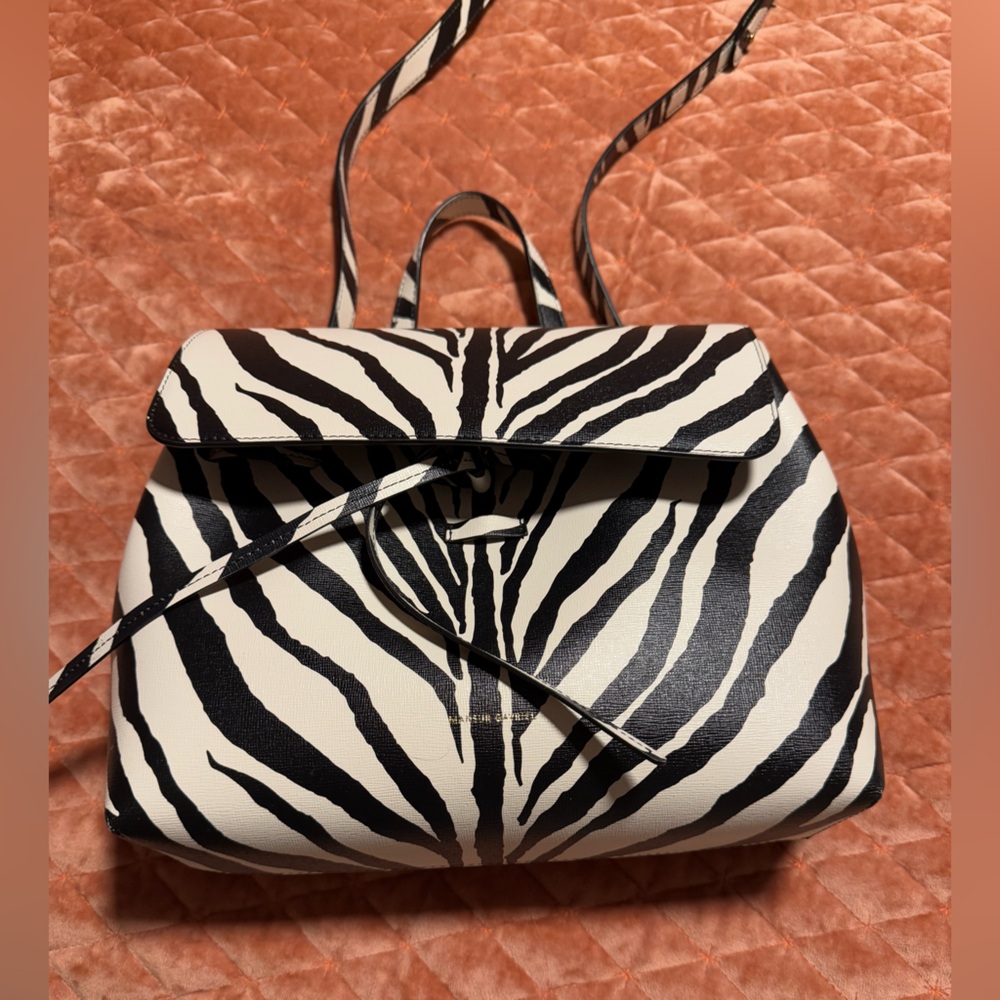 Mansur Gavriel Zebra Print Lady Bag